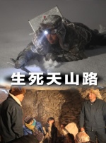 久久鲁视频